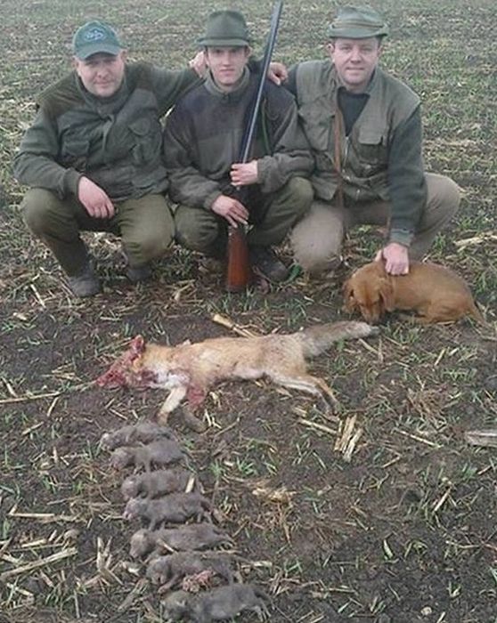 Фотография охотников с мертвой лисой.