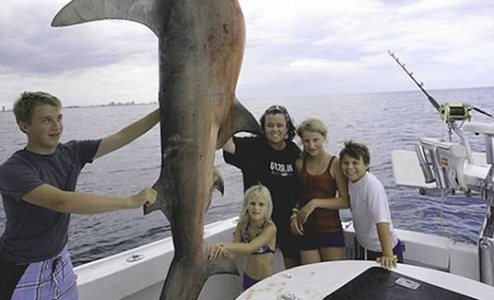 Фотография ОДоннелл с акулой-молотом.