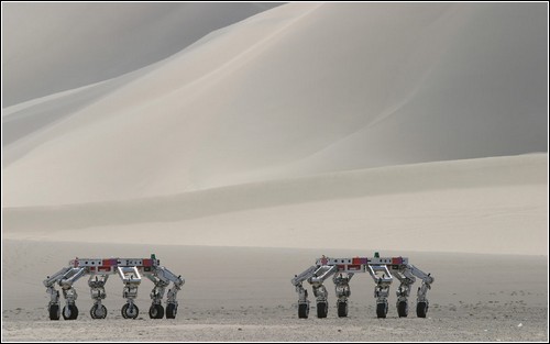 Большая галерея роботов.