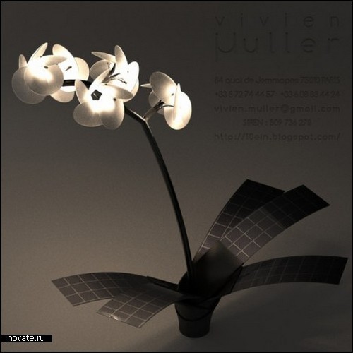 Светильник-орхидея Orkys