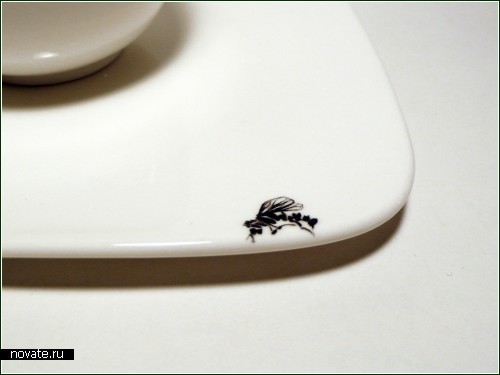 Вся посуда в насекомых!