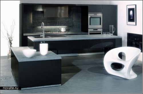 Стильные черно-белые дизайнерские кухни. Обзор