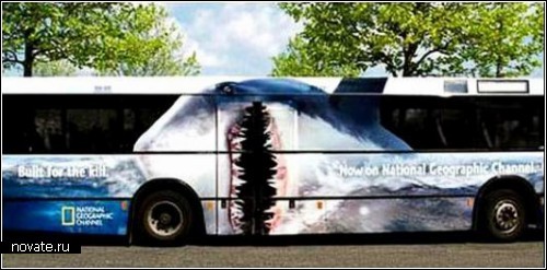 Передвижное творчество: гафика на автобусах