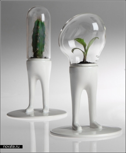Domsai - растение-тамагочи. Проект дизайнера Matteo Cibic