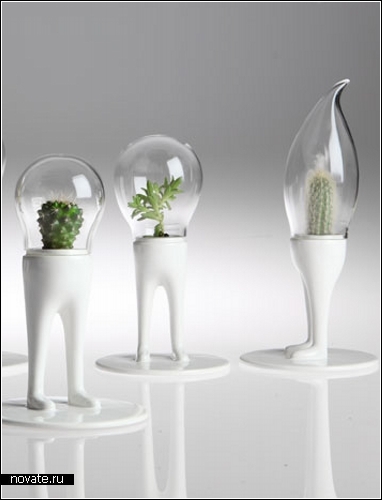 Domsai - растение-тамагочи. Проект дизайнера Matteo Cibic