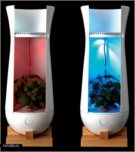Умный концептуальный горшок Eve Lamp для домашних растений