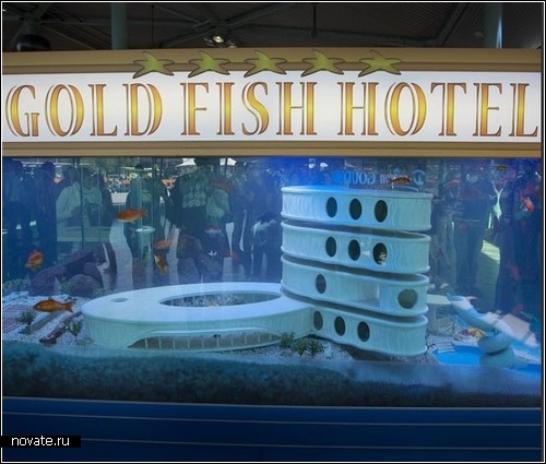 Гостиница для рыбок. Первая и единственная