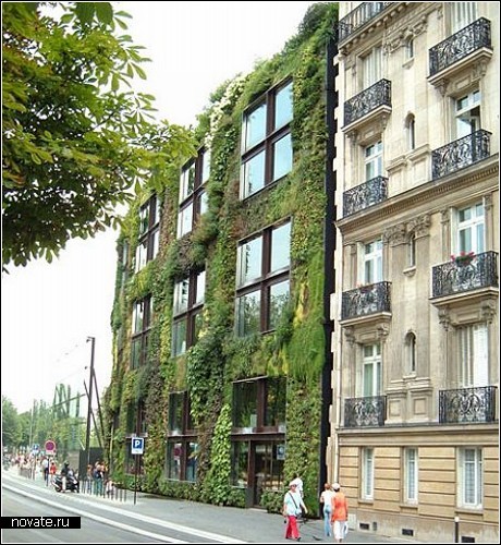 Обзор *зеленых домов* с газонами на крыше