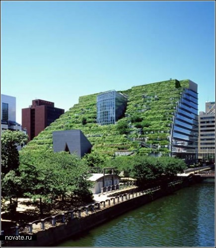 Обзор *зеленых домов* с газонами на крыше