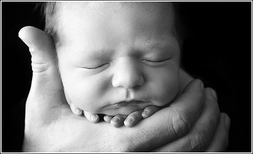 Фотографии новорожденных от Tracy Raver