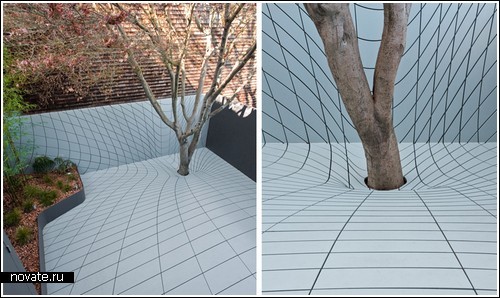 Оптическая иллюзия проваливающегося дерева
