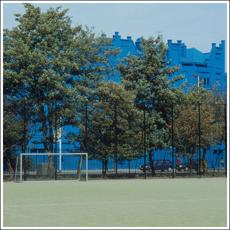 Голубое здание в Голландии