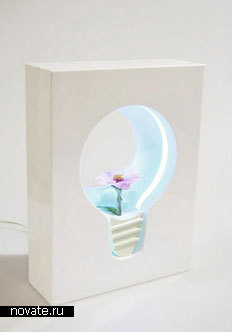 Лампочка-цветок от Ha-Na Yeom