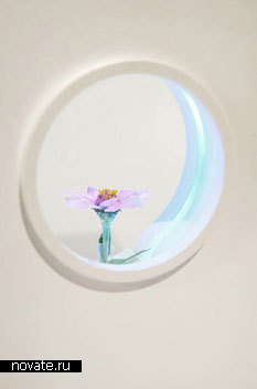 Лампочка-цветок от Ha-Na Yeom
