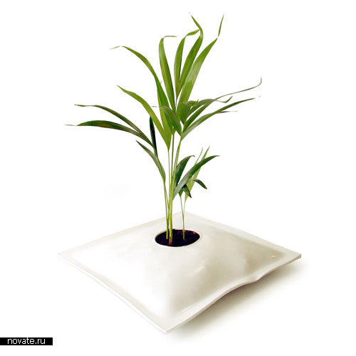 Подушка-горшок для комнатных растений