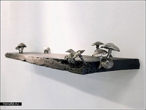 Полка, помогающая спасти грибы от исчезновения