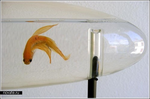 Экспериментальные аквариумы от Amaury Poudray