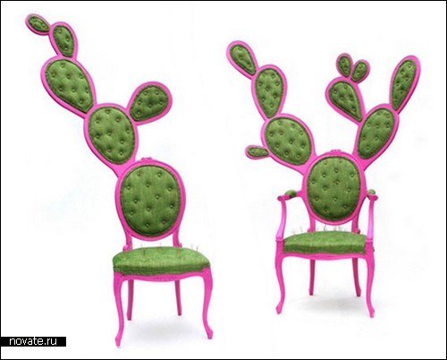 Колючие розовые кактусы-кресла