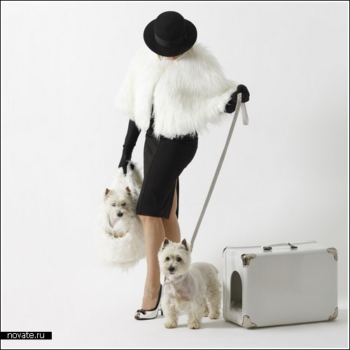 Чемоданчик для стильной дамочки…с собачкой
