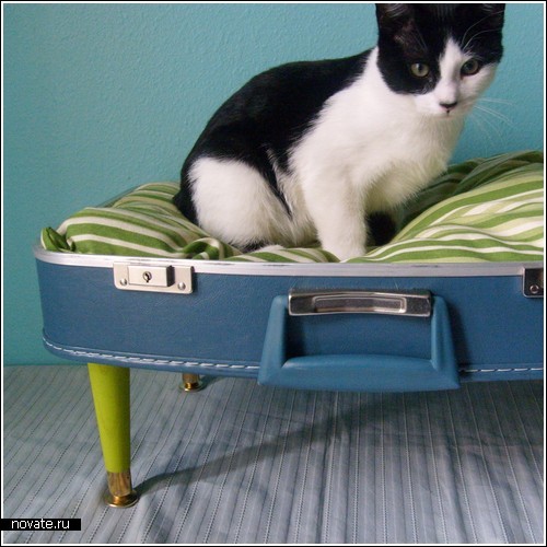 Чемодан превращается…кресло для любимого кота