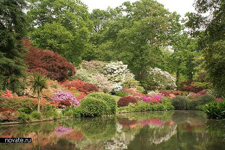 The Exbury gardens (Саутгемптон, Англия)