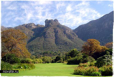 Kirstenbosh National Botanical Garden (Кейптаун, ЮАР)