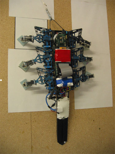 RiSE  робот-скалолаз