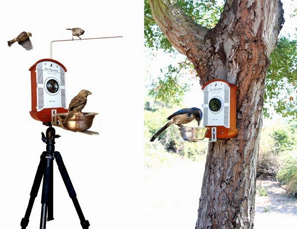 Bird Photo Booth. Фотобудка и кормушка для птиц от Брайсона Лаветта (Bryson Lovett)