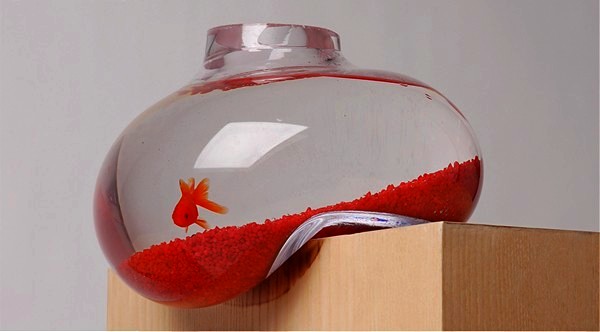 Bubble Tank, *сползающий* со стола аквариум с рыбками