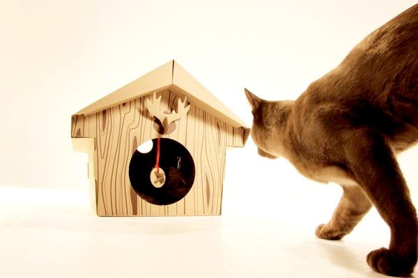 Canadian Cat Cabin, или оригинальный кошачий домик из картона