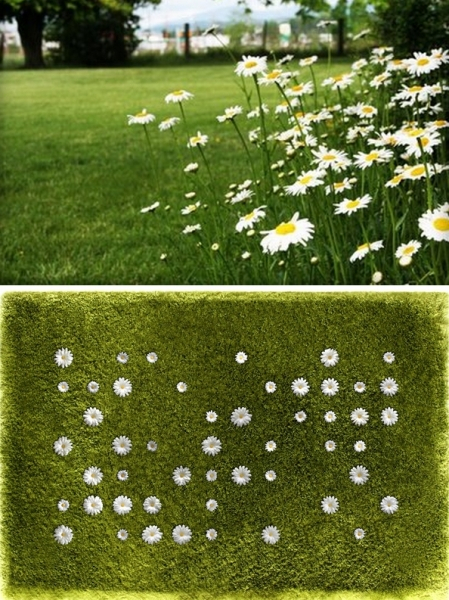 Daisy Garden Rug: весенний ковер в виде поляны с ромашками 