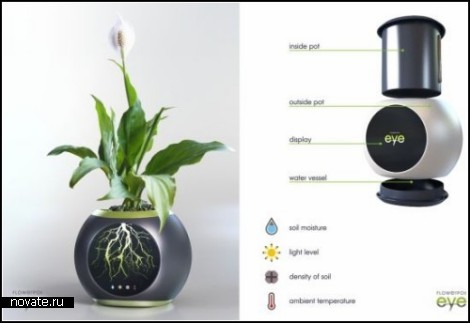 Концепт Eye Flowerpot как способ подглядывать за растениями