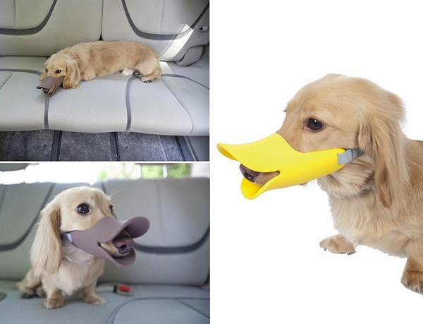 Quack Muzzle, смешной намордник в виде утиного клюва от компании OPPO