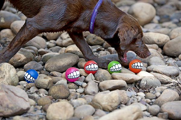 Прикольный мячик для улыбчивых собак. Smiling Dog Ball Toy от Porky Hefer