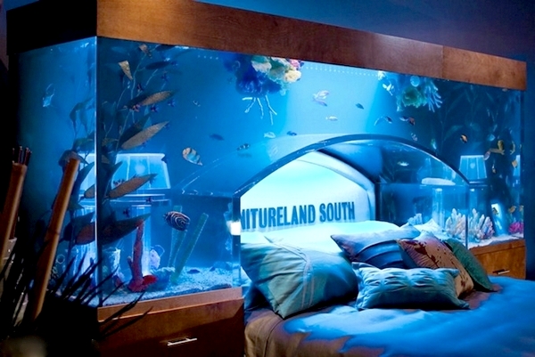Кровать с аквариумом, оригинальный дизайн  для  Furnitureland South 