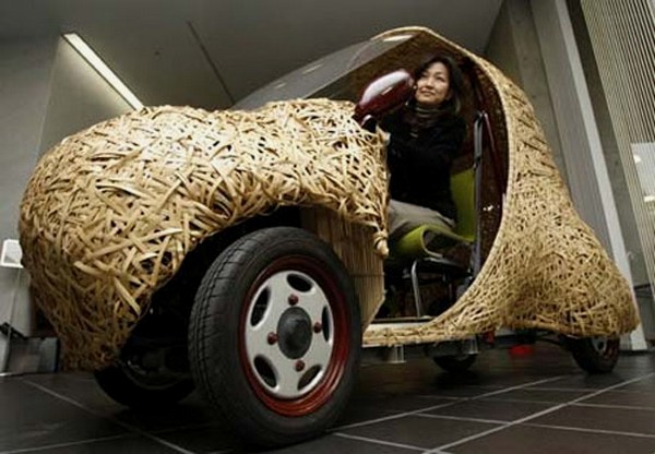 Экологически чистый бамбуковый электромобиль Bamgoo