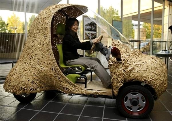 Bamgoo, бамбуковый электромобиль от изобретателей из киотского университета