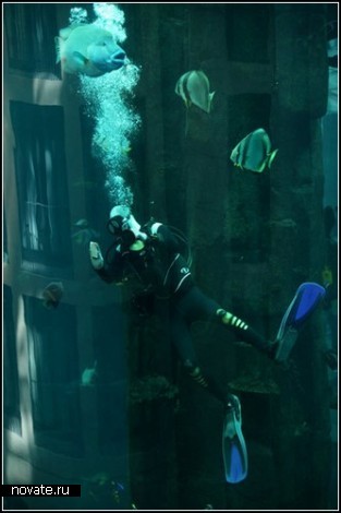 AquaDom. Лифт внутри аквариума