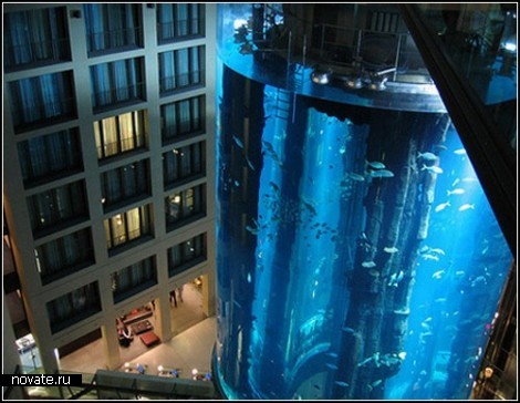 AquaDom. Лифт внутри аквариума