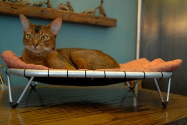 Hammock Cat Beds, спальное место для кошки