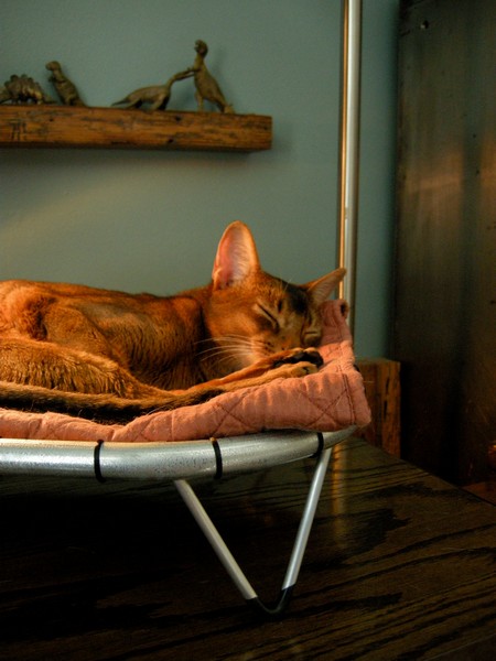Hammock Cat Beds, спальное место для кошки