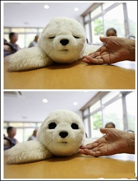 Little Digital Seal, механический тюлень в качестве компаньона для японских стариков