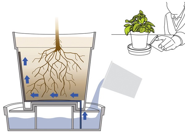 Концептуальный цветочный горшок iGrow экономит воду и время