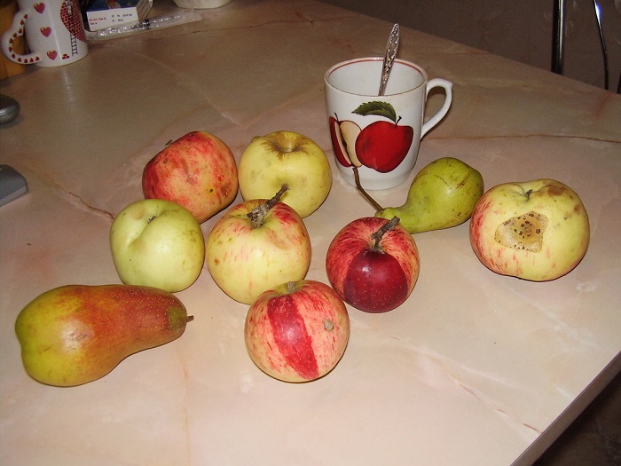 Яблоки и груши не нужно выбрасывать, даже если они чуть подгнили. / Фото: artfile.me