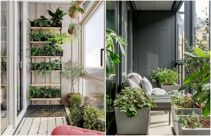 Количество растений зависит от размера балкона Количество растений зависит от размера балкона