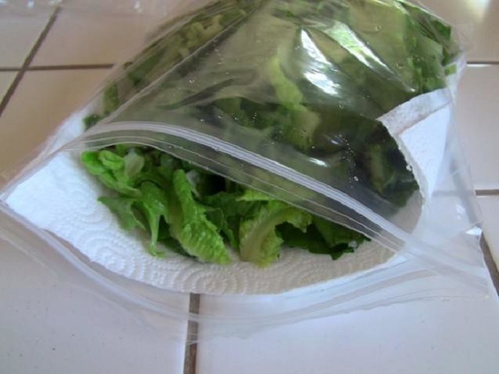 Упакуйте листья салата вместе с полотенцем в пакет на защелке. / Фото: zen.yandex.ru