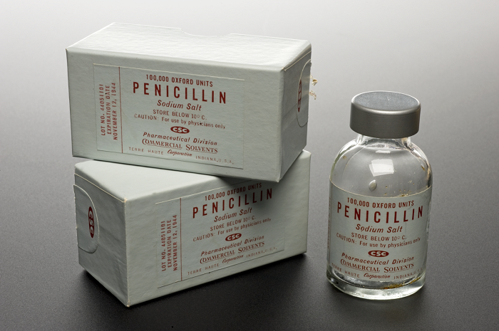 Пенициллин открыл британский бактериолог Александр Флеминг. / Фото: authorea.com