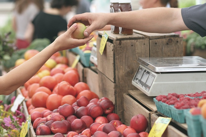 Покупая местные продукты, немцы поддерживают сельское хозяйство в Германии. / Фото: factornews.ru