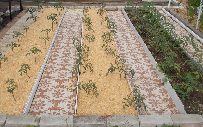 Старые ковры станут отличными дорожками на участке. / Фото: fishki.net