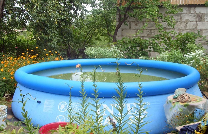 Надувной бассейн для отдыха на даче. / Фото: waysi.ru